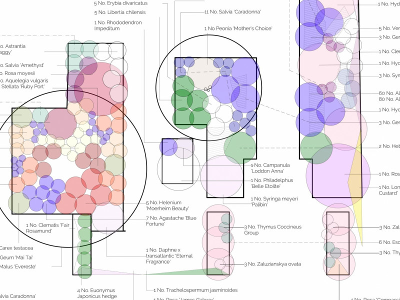 Example Planting Plan, Corr Cropped